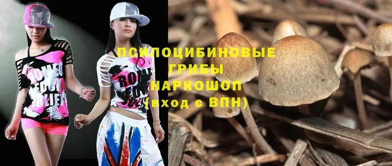 Галлюциногенные грибы Magic Shrooms Муром